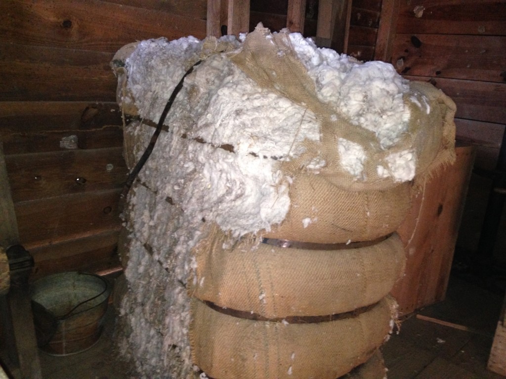 A cotton bale weighing over 500 pounds.