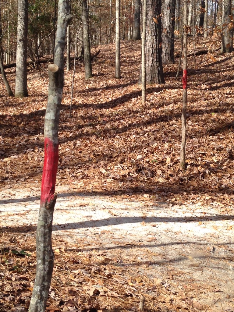 The trail to the mill ruins is marked in red.