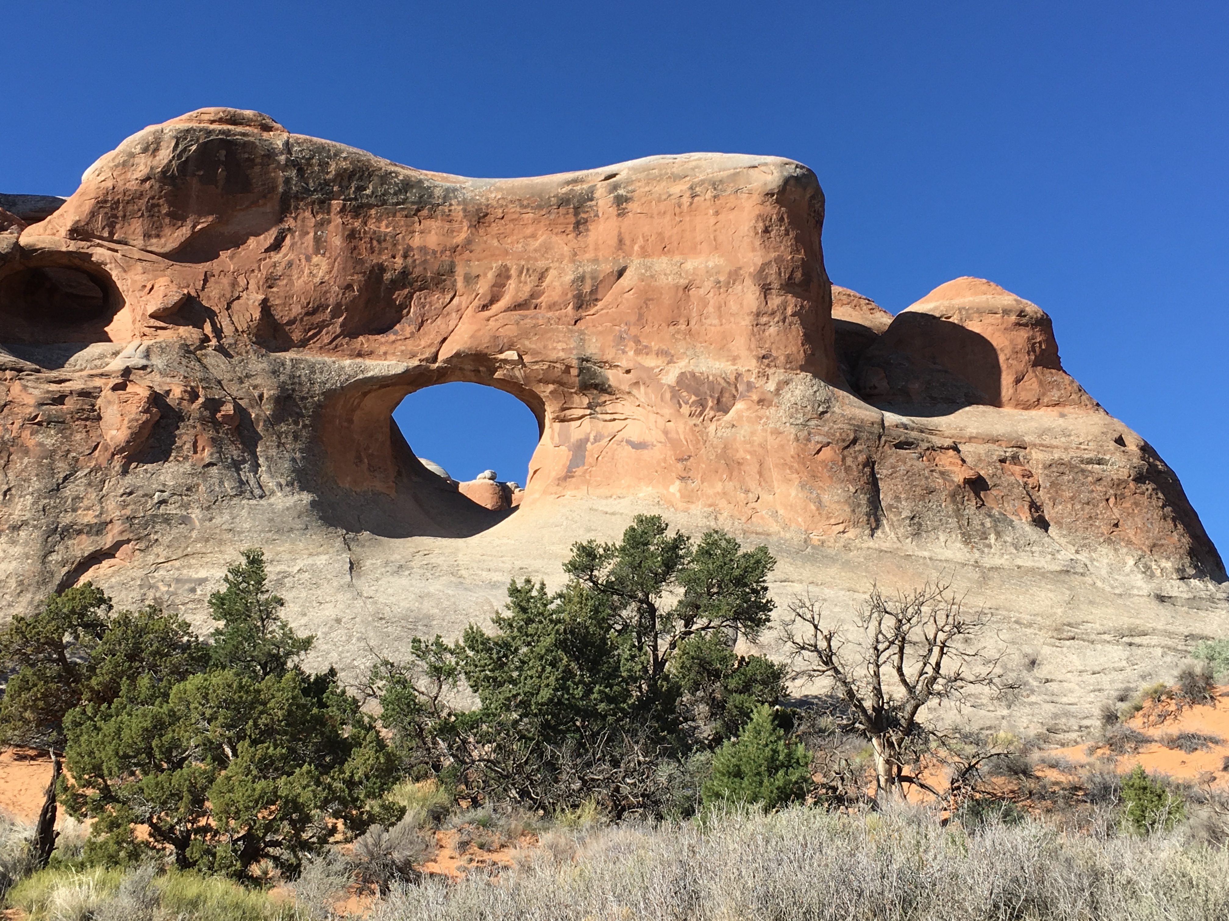 You are currently viewing Arches National Park