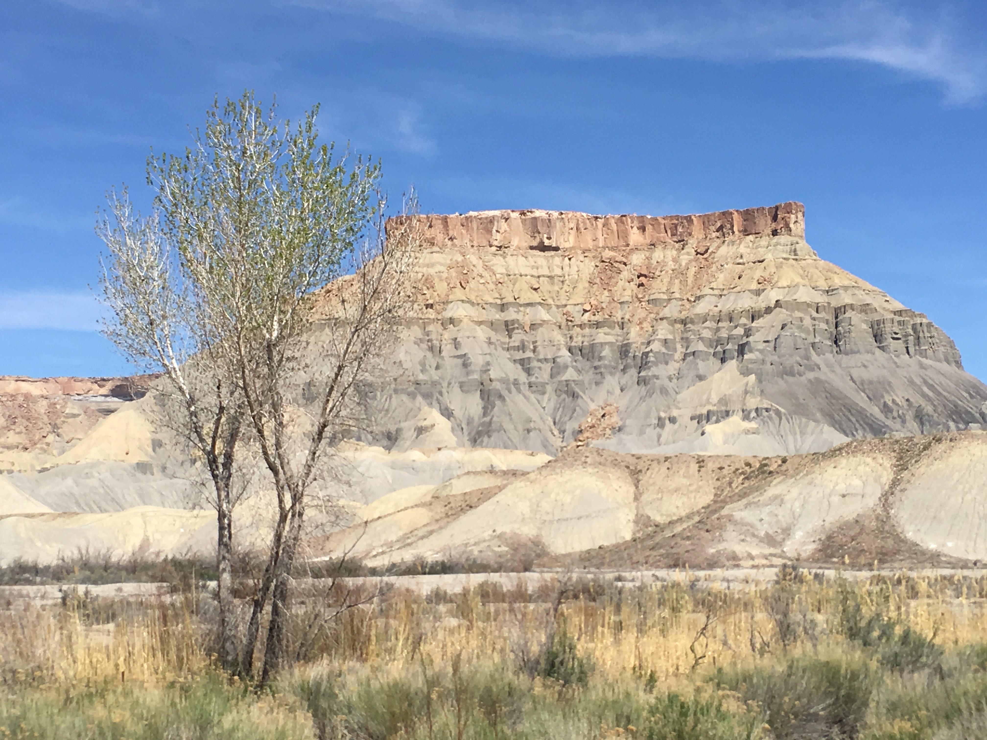 Read more about the article Capitol Reef National Park – Torrey, Utah