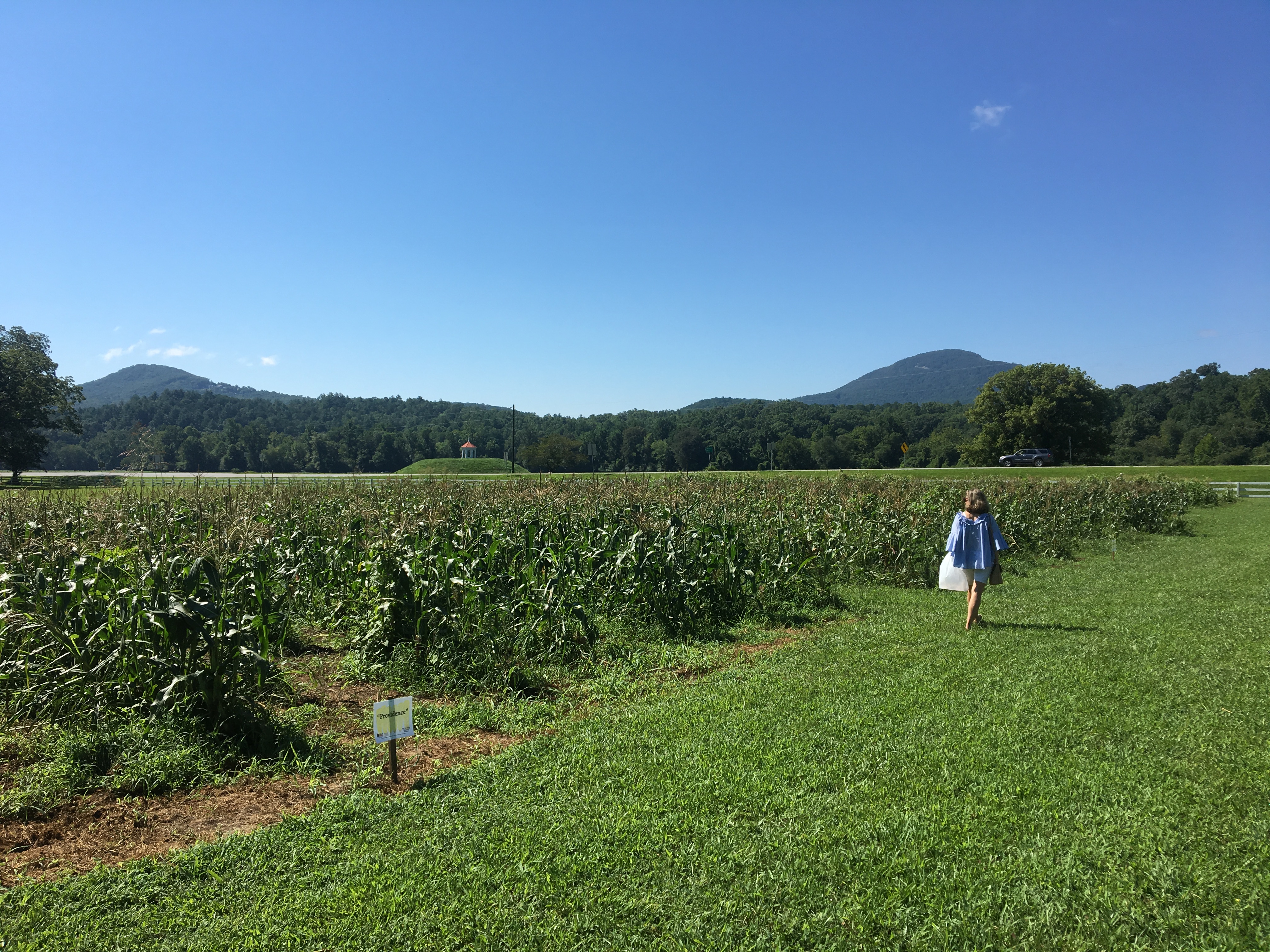 Read more about the article Corn Festival at Hardman Farm State Historic Site – White County, GA