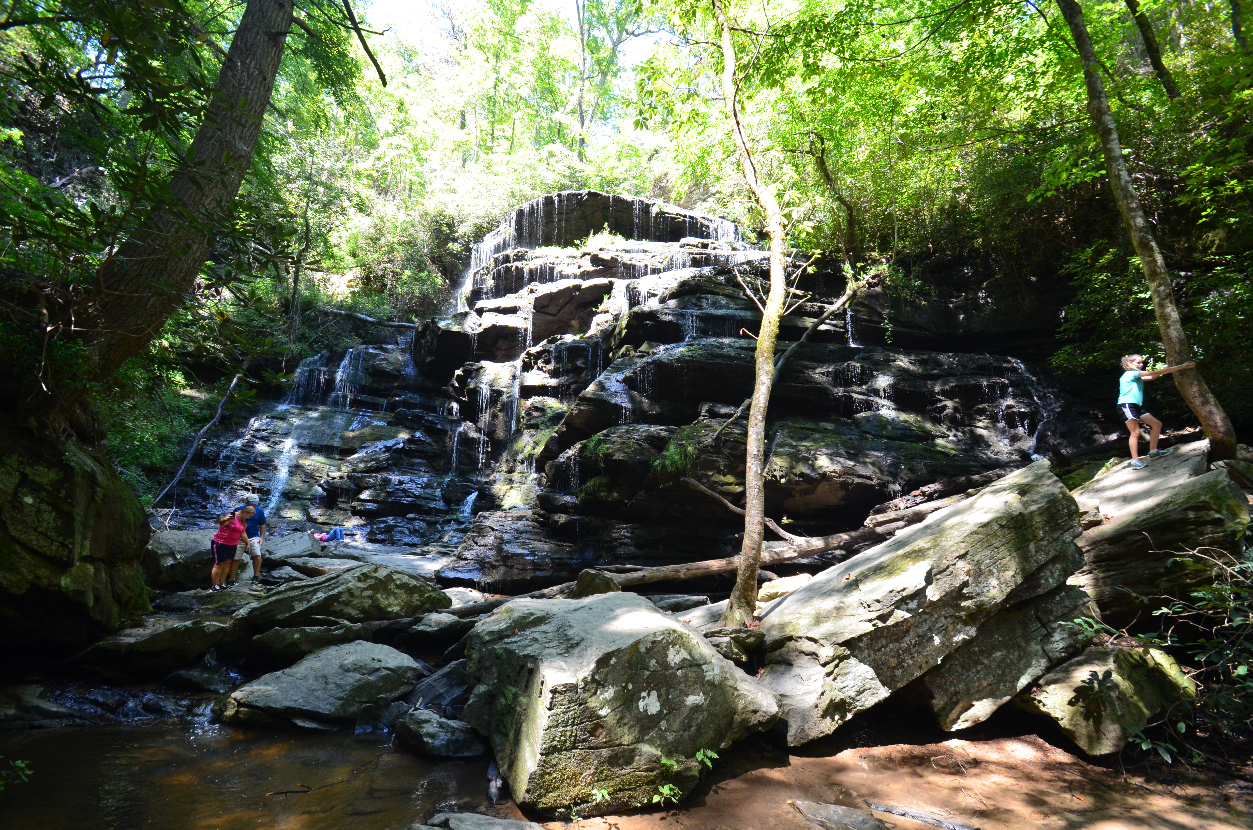 Read more about the article Day Trip to South Carolina – Yellow Branch Falls