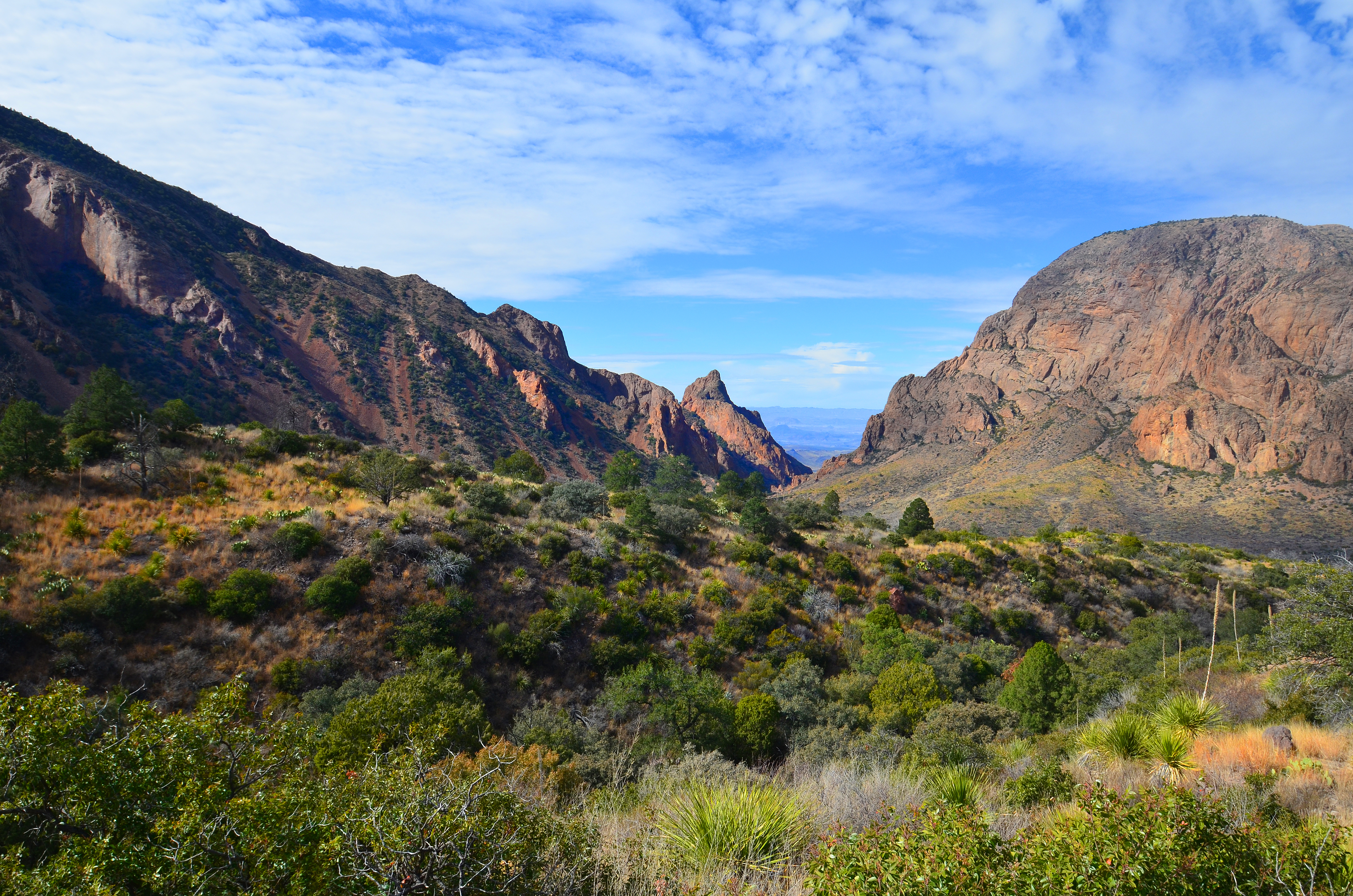 You are currently viewing Chisos Basin – Big Bend National Park