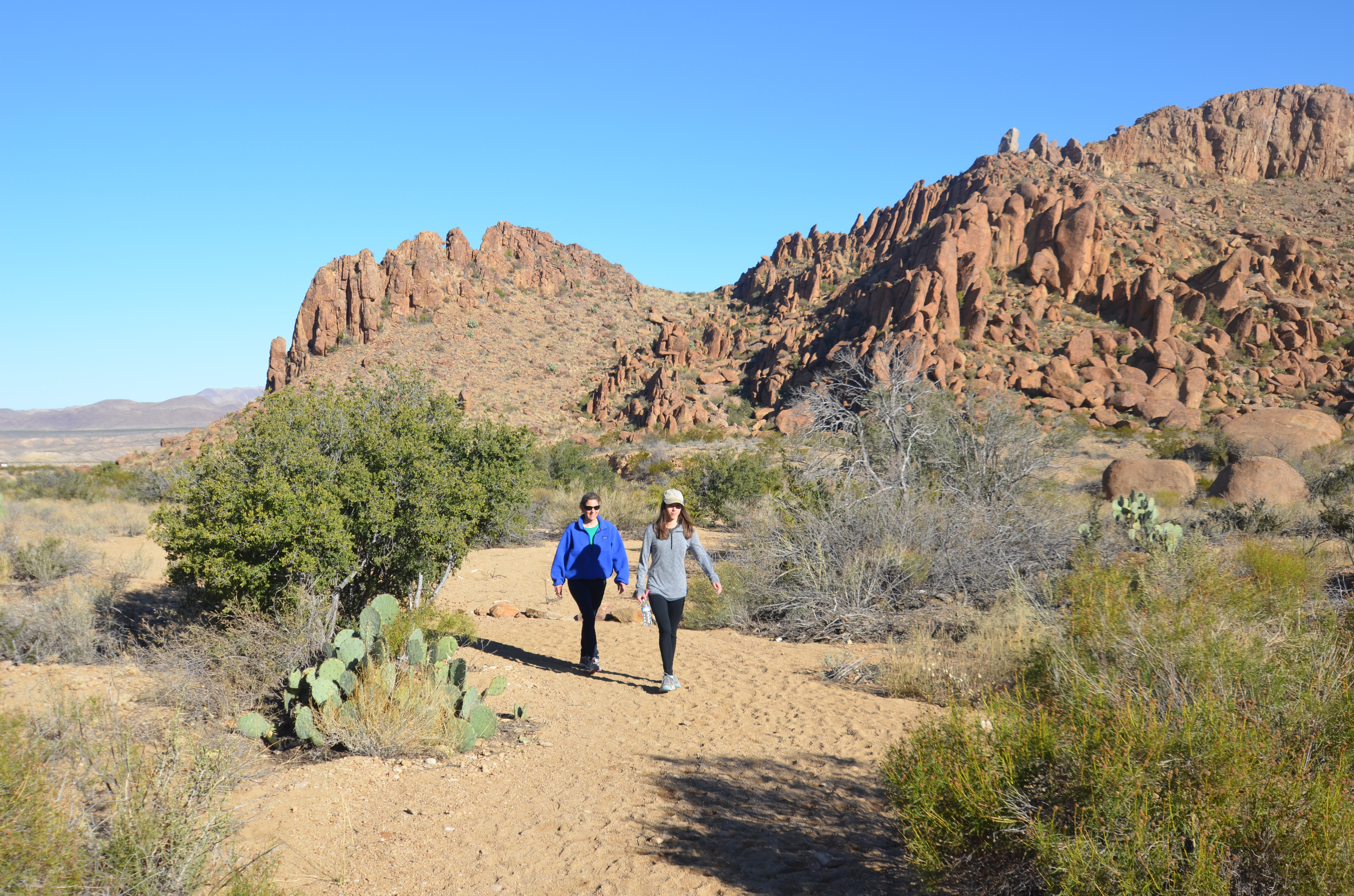 Read more about the article Balanced Rock Trail – Big Bend National Park