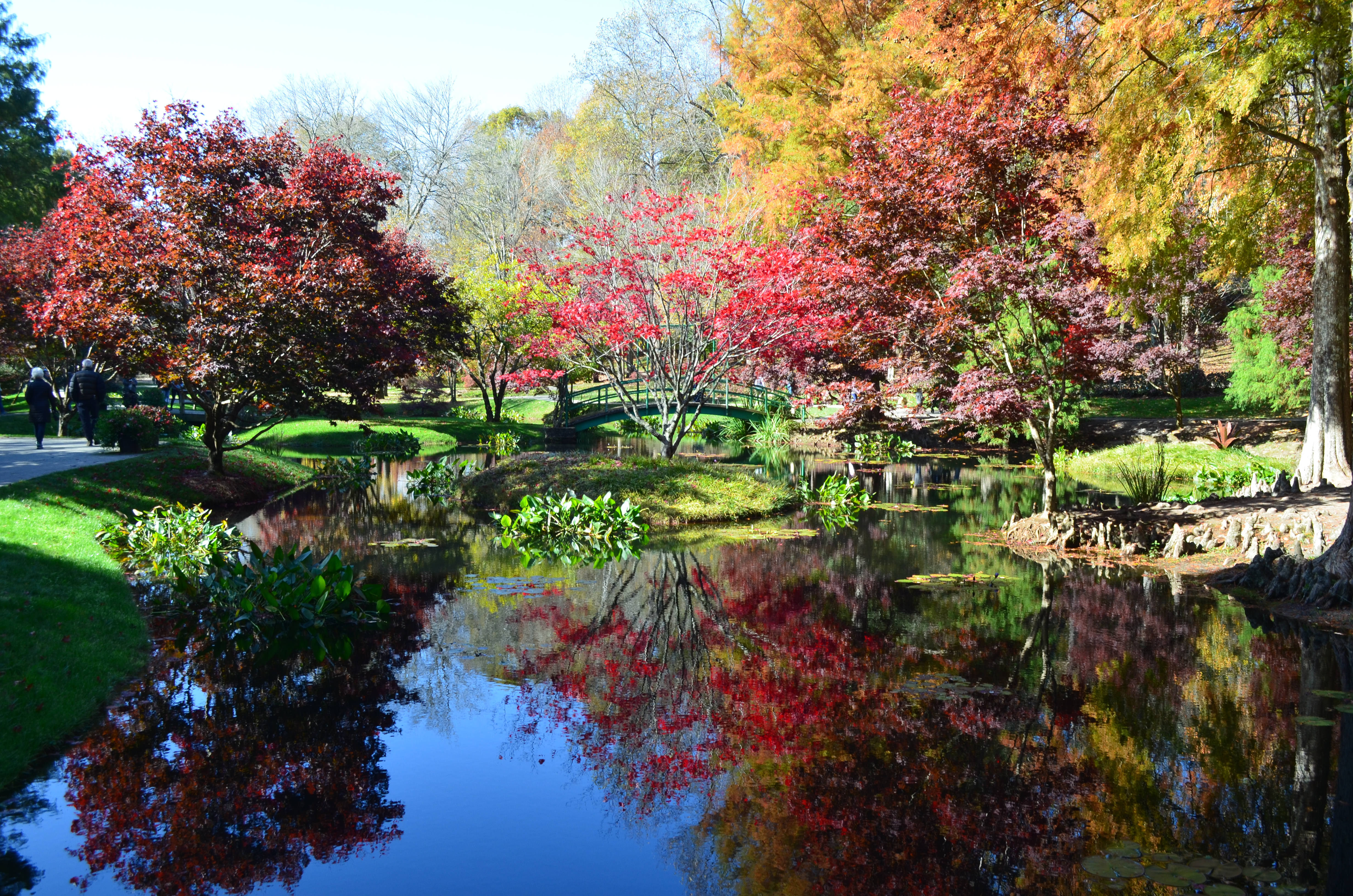 Read more about the article Gibbs Gardens – Ball Ground, GA