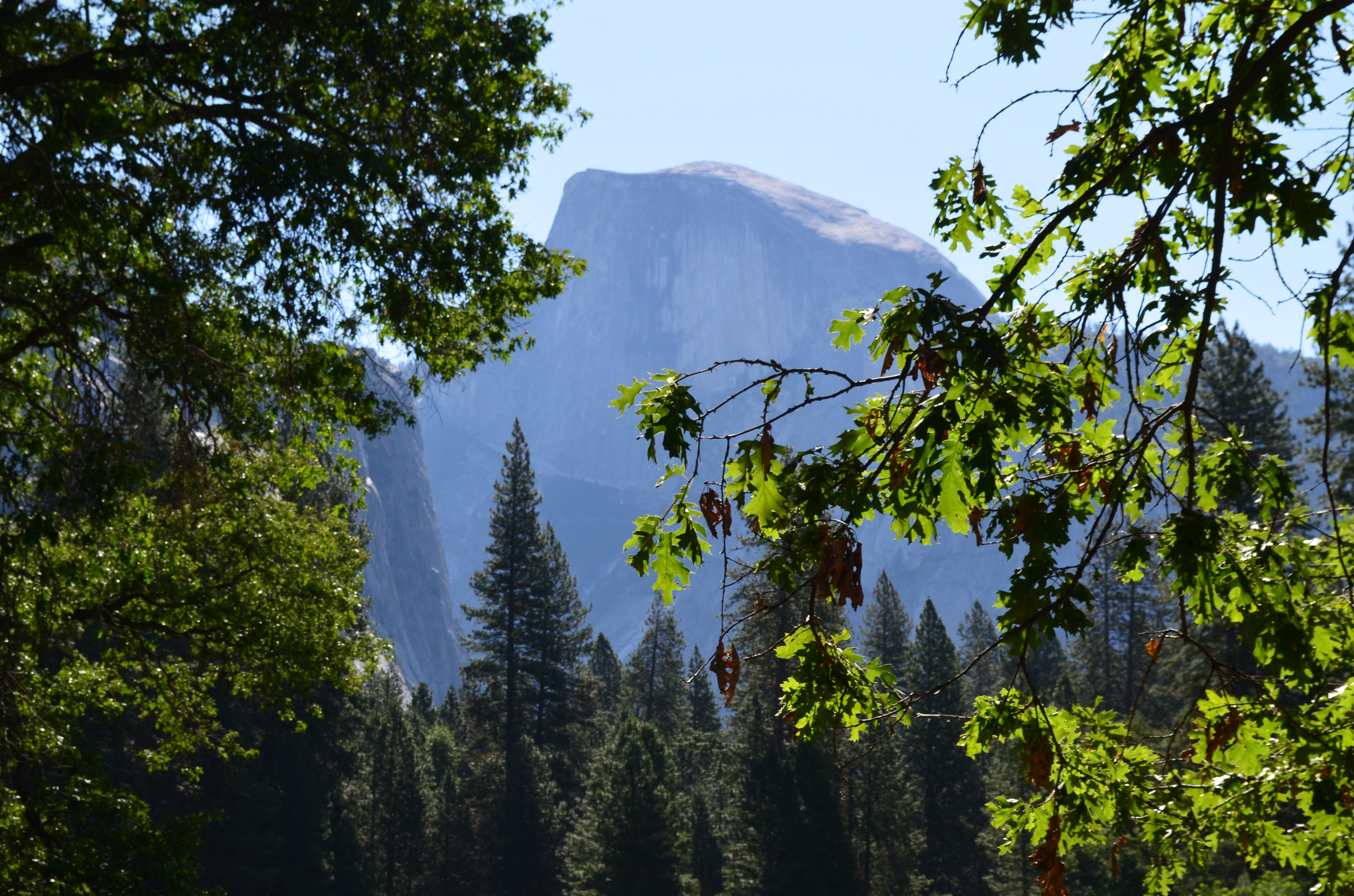 You are currently viewing Yosemite Valley in Pictures