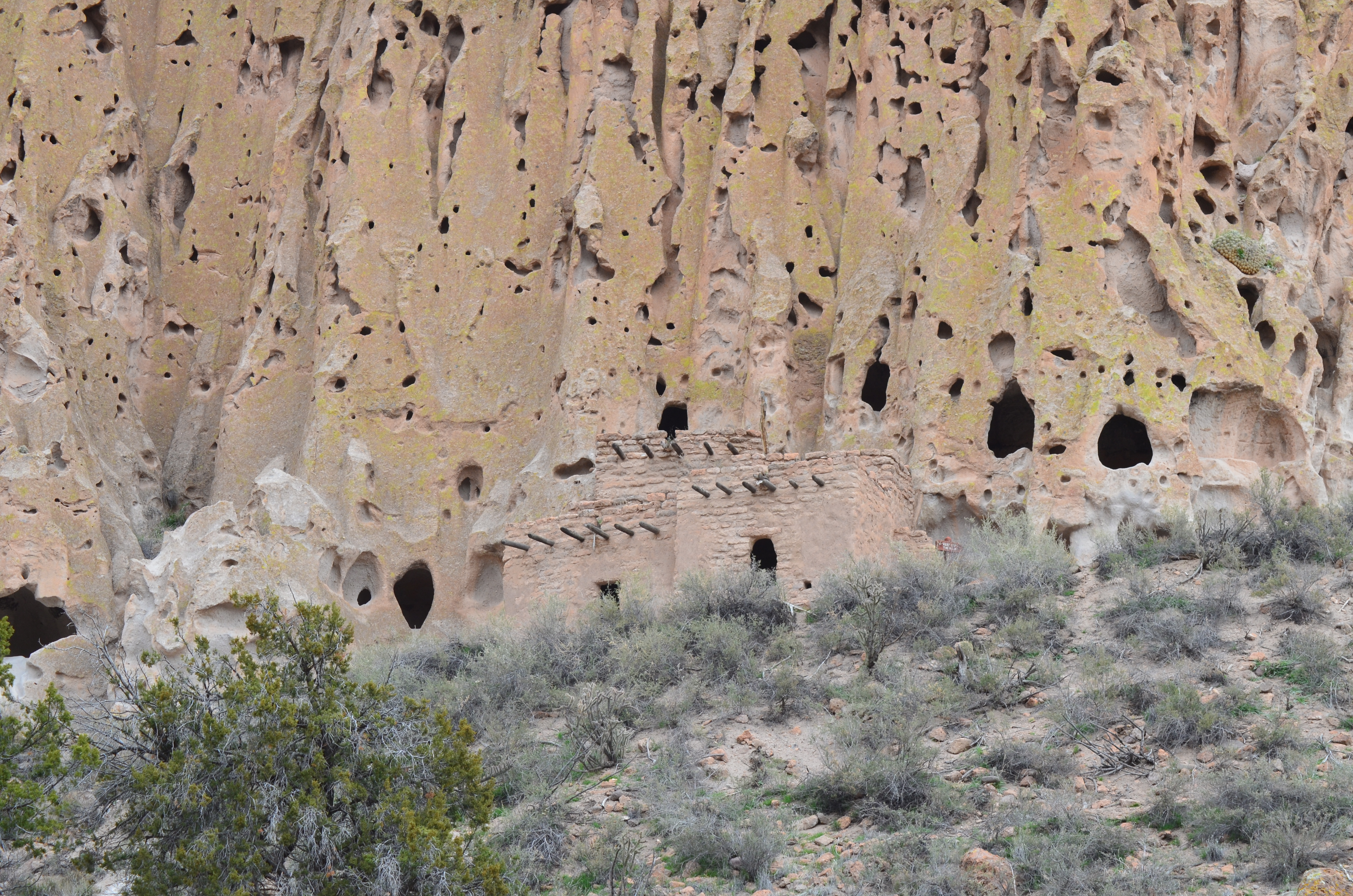 Read more about the article Bandelier National Monument – Los Alamos, NM