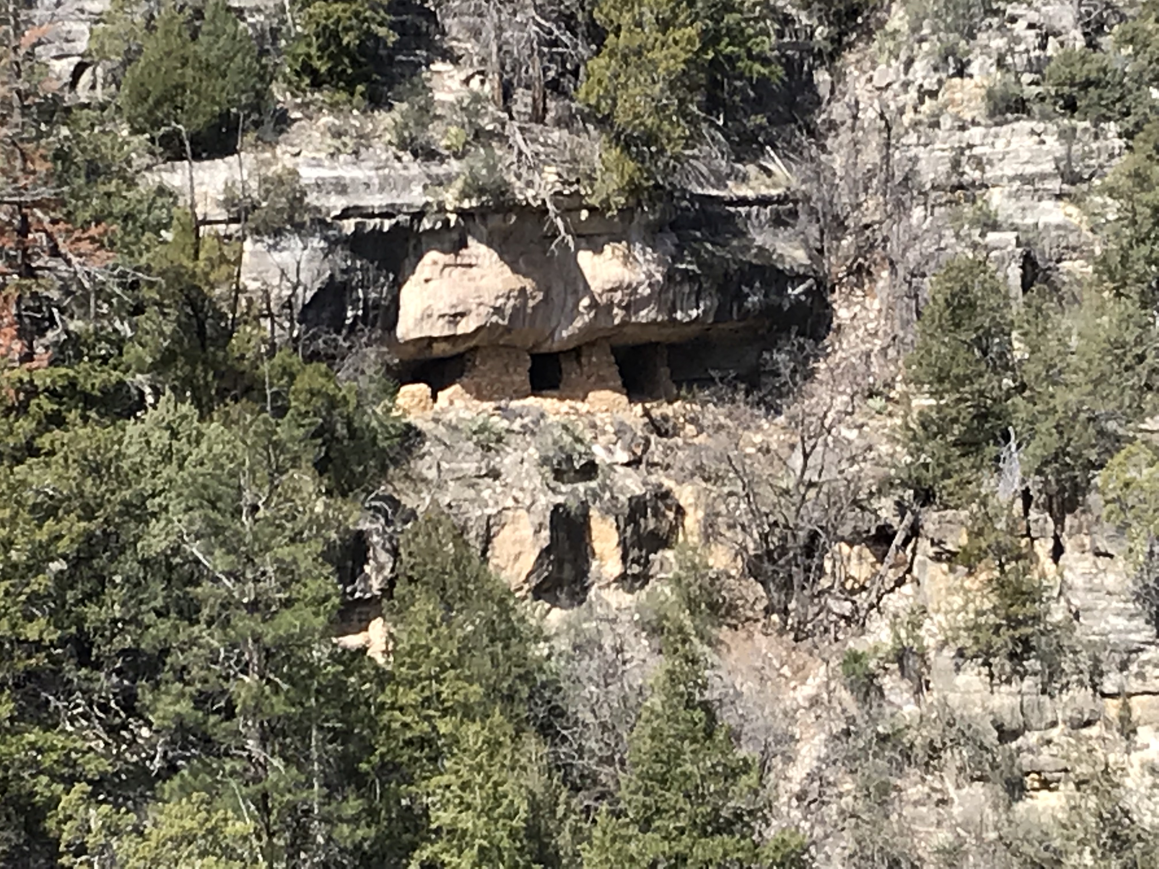 Read more about the article Walnut Canyon National Monument – Flagstaff, Arizona