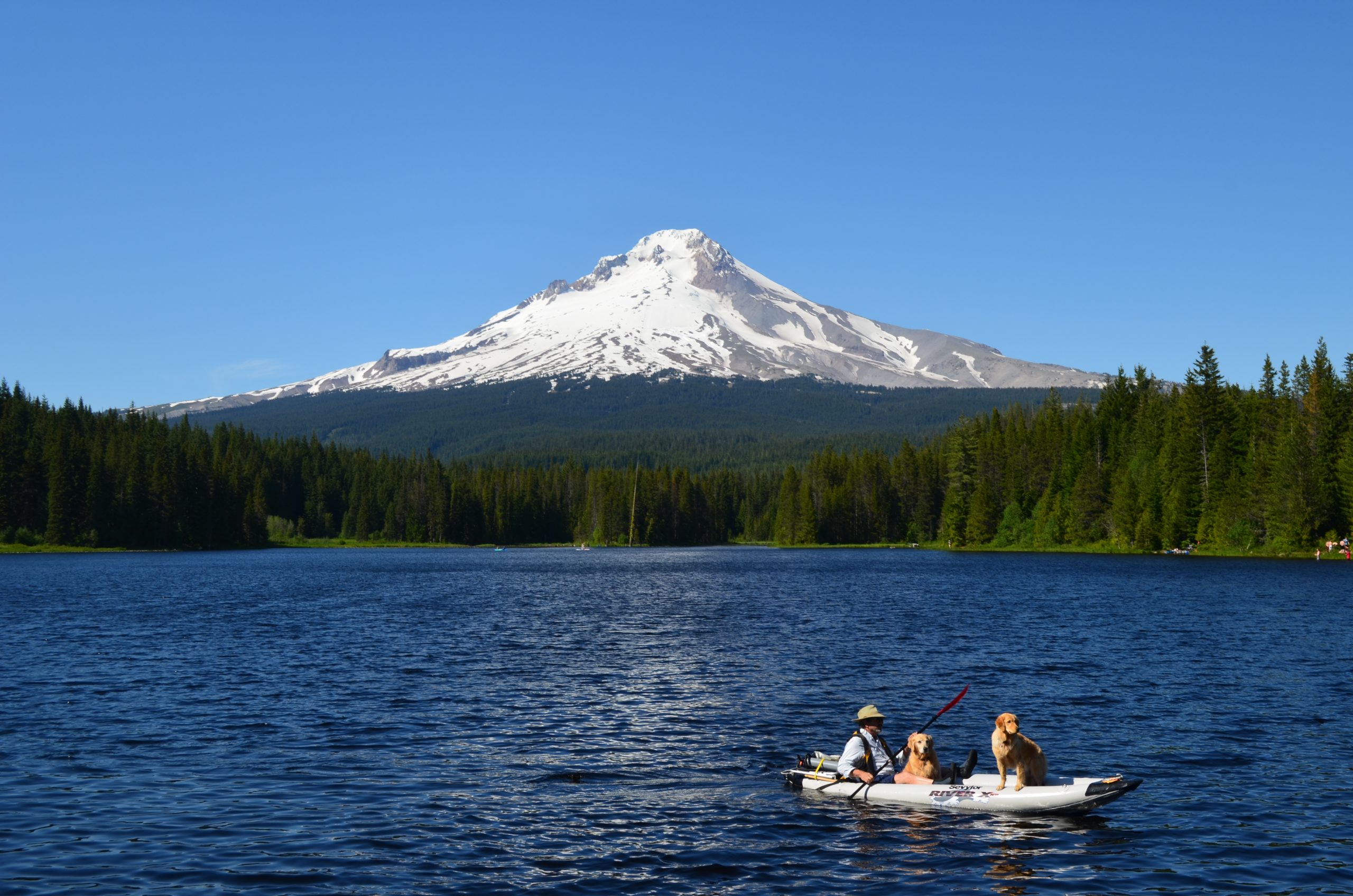 Read more about the article Mt. Hood, Oregon