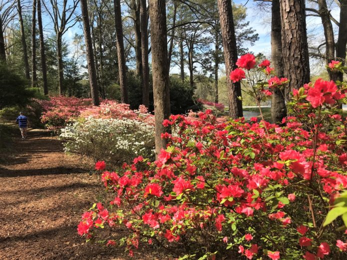 You are currently viewing An Overnight Stay at Callaway Gardens – Pine Mountain, GA