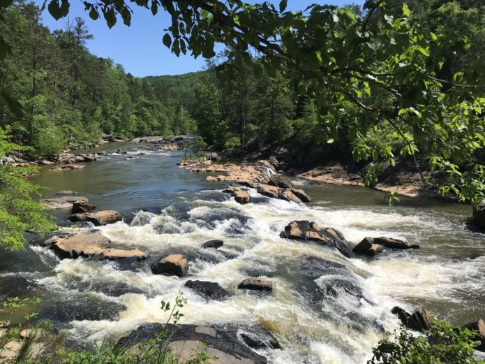 Read more about the article Quarantine Quest – Sweetwater Creek State Park, GA