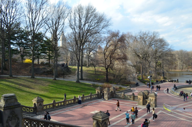 Read more about the article Central Park – NYC