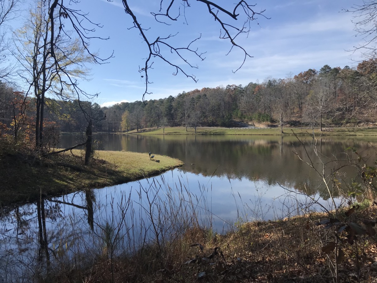 You are currently viewing Sloppy Floyd State Park – Summerville, GA