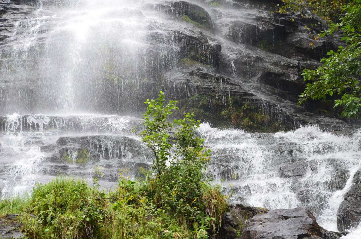 Read more about the article Amicalola Falls State Park – Dawsonville, GA