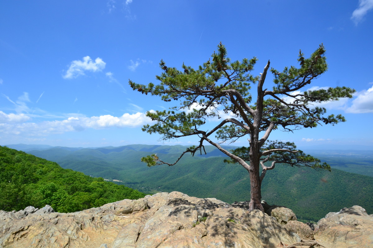 You are currently viewing Shenandoah National Park – VA