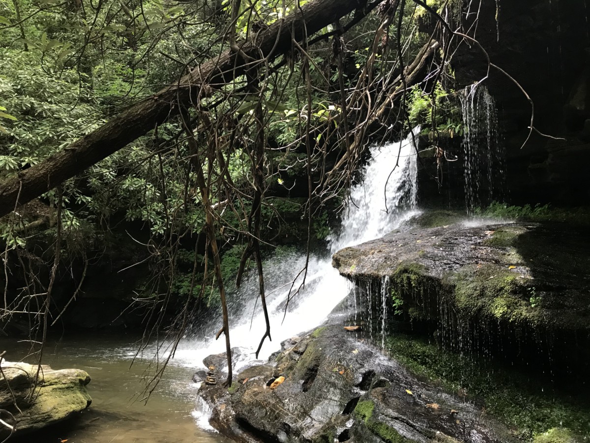 Read more about the article Martin Creek Falls, Rabun County GA