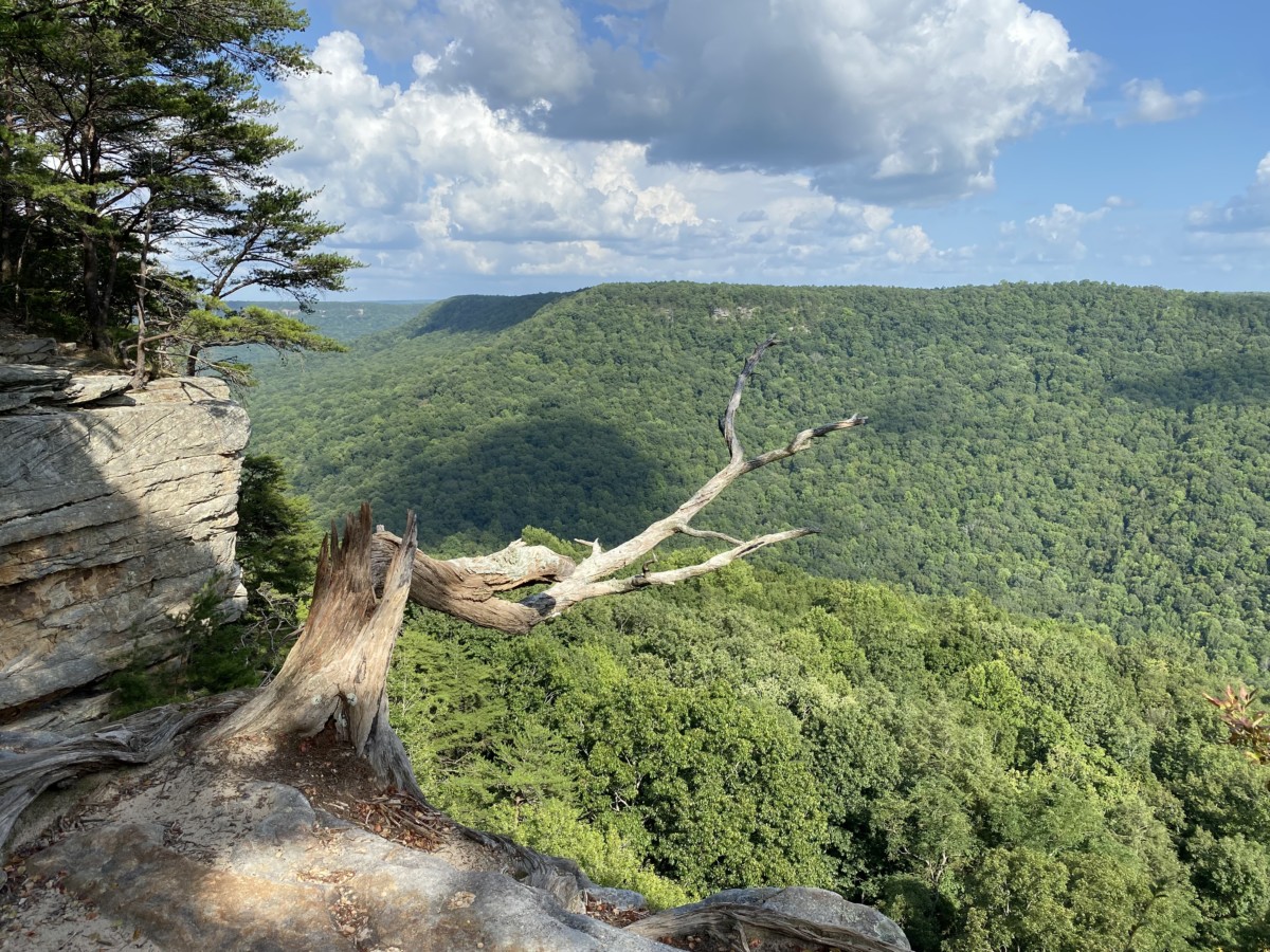 Read more about the article South Cumberland State Park, Grundy County, TN