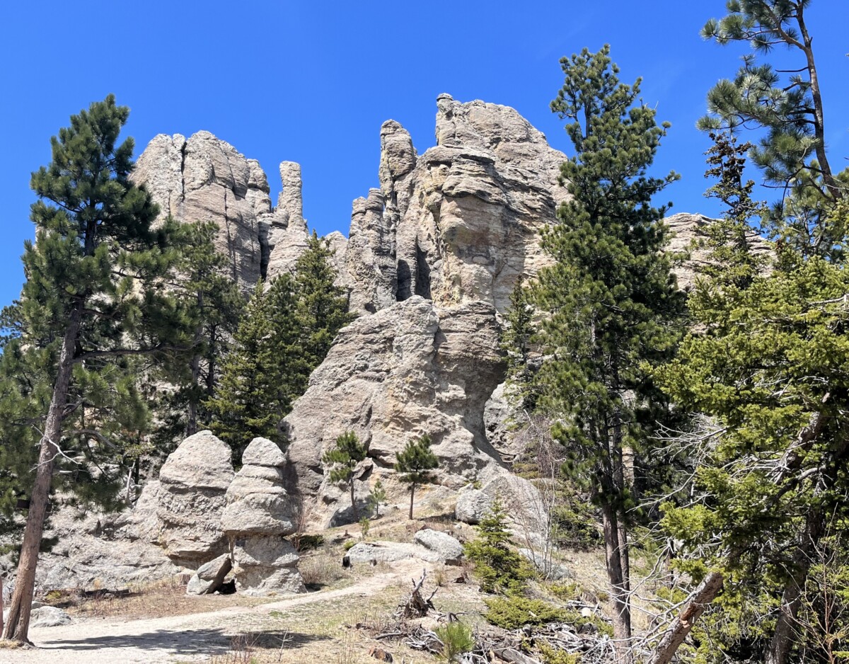 Read more about the article Custer State Park – Custer, SD