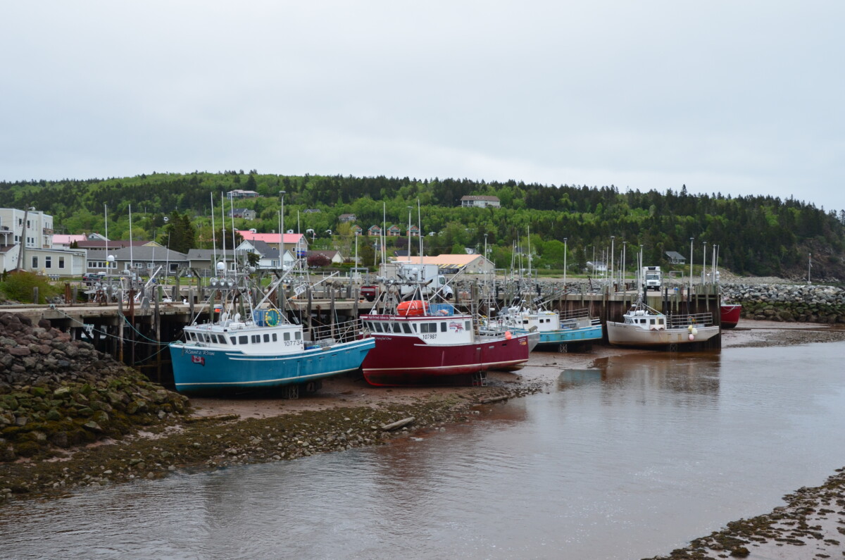 Read more about the article Hopewell Rocks, Cape Enrage, & Fundy National Park – New Brunswick