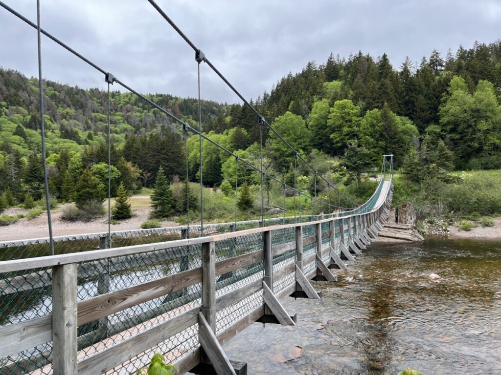 Fondo Gran Puente Sobre El Río Salmón En Fundy Trail Parkway Foto