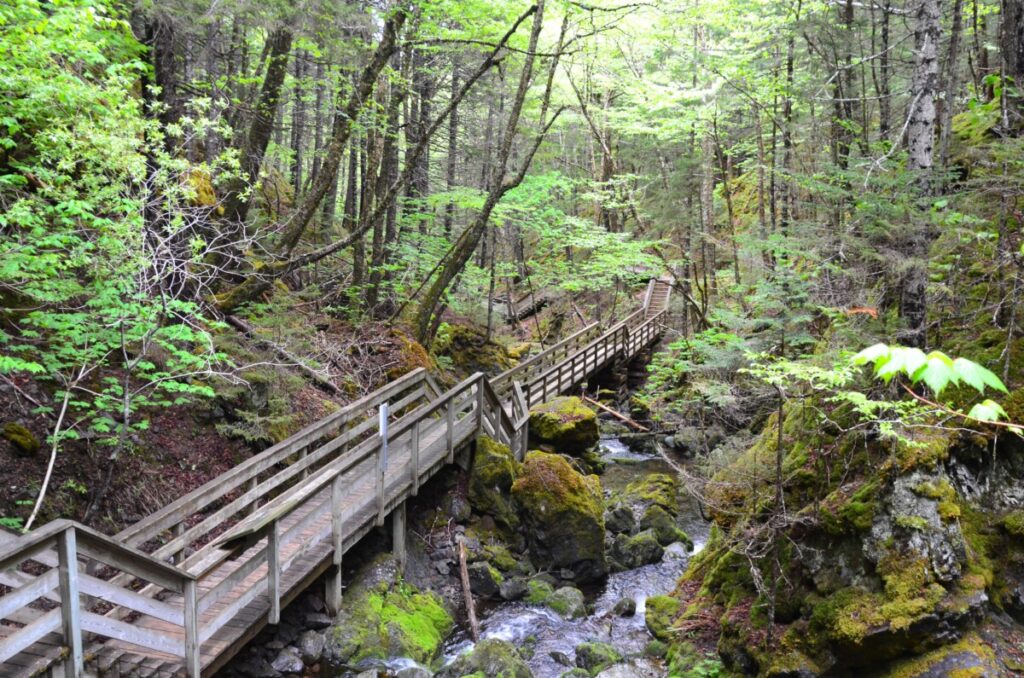 Exploring Fundy National Park's Laverty Falls