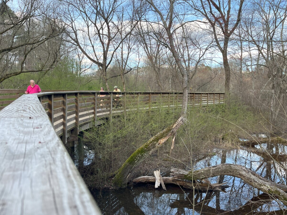 Read more about the article Mason Mill Trail (aka S. Peachtree Creek Trail) – Decatur, GA