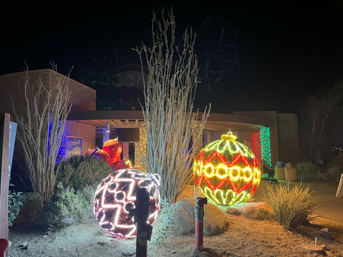 Read more about the article WildLights at Living Desert Zoo & Gardens – Palm Desert, CA