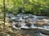 Tumbling Waters Nature Trail – Ellijay, GA